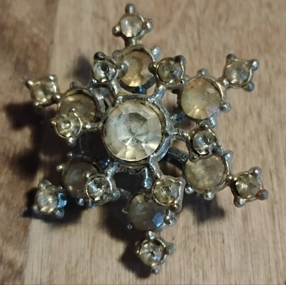 Elegant Silver and Gold-Toned Brooch
